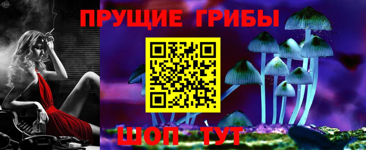 Железногорск  Галлюциногенные грибы Magic Shrooms  Галлюциногенные грибы MAGIC MUSHROOMS  где купить наркотик  Вход с VPN 