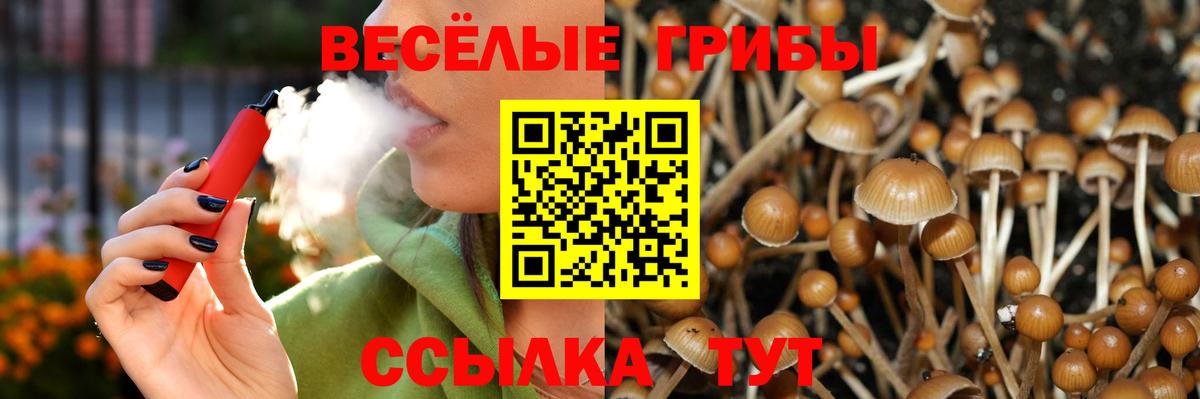 Псилоцибиновые грибы Magic Shrooms Железногорск